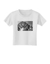 San Juan Mountain Range CO 2 Toddler T-Shirt-Toddler T-Shirt-TooLoud-White-2T-Davson Sales