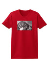 San Juan Mountain Range CO 2 Womens Dark T-Shirt-TooLoud-Red-X-Small-Davson Sales