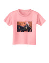 Sidecar Motorcycle Photo Toddler T-Shirt-Toddler T-Shirt-TooLoud-Candy-Pink-2T-Davson Sales