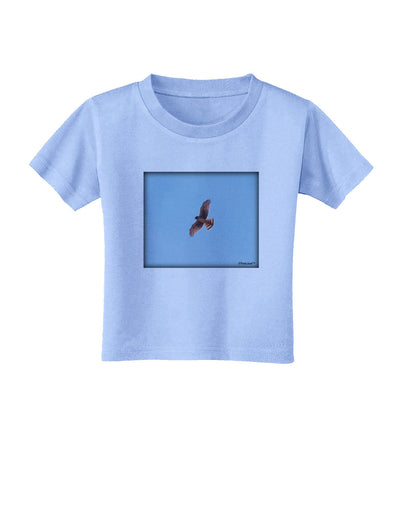 Soaring Peregrine Toddler T-Shirt-Toddler T-Shirt-TooLoud-Aquatic-Blue-2T-Davson Sales