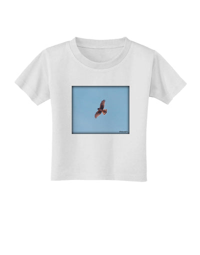 Soaring Peregrine Toddler T-Shirt-Toddler T-Shirt-TooLoud-White-2T-Davson Sales