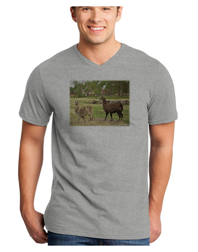 Standing Llamas Adult V-Neck T-shirt by TooLoud-Mens V-Neck T-Shirt-TooLoud-HeatherGray-Small-Davson Sales