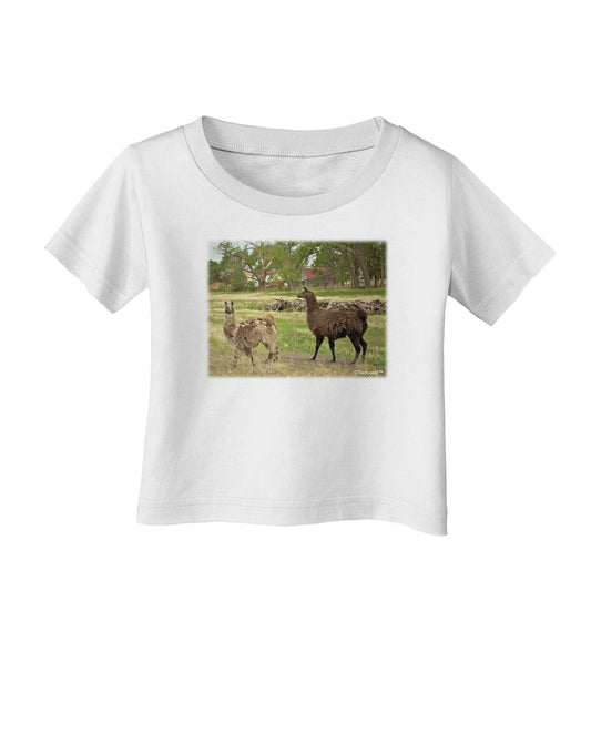 Standing Llamas Infant T-Shirt by TooLoud-Infant T-Shirt-TooLoud-White-06-Months-Davson Sales