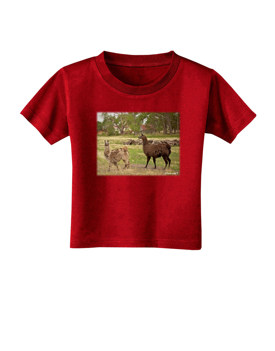 Standing Llamas Toddler T-Shirt Dark by TooLoud-Toddler T-Shirt-TooLoud-Black-2T-Davson Sales