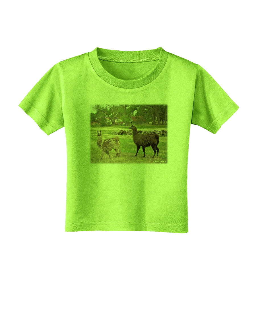 Standing Llamas Toddler T-Shirt by TooLoud-Toddler T-Shirt-TooLoud-White-2T-Davson Sales