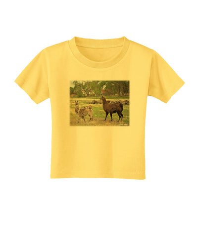 Standing Llamas Toddler T-Shirt by TooLoud-Toddler T-Shirt-TooLoud-Yellow-2T-Davson Sales