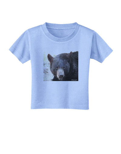 Staring Black Bear Toddler T-Shirt-Toddler T-Shirt-TooLoud-Aquatic-Blue-2T-Davson Sales