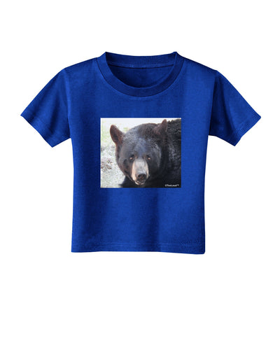 Staring Black Bear Toddler T-Shirt Dark-Toddler T-Shirt-TooLoud-Royal-Blue-2T-Davson Sales