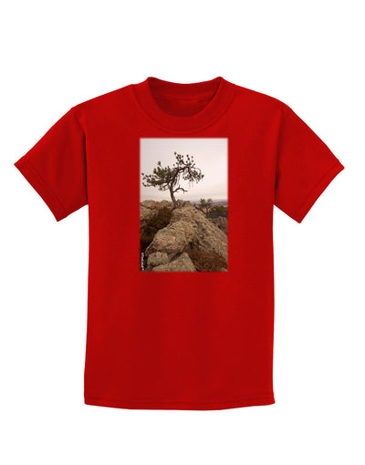 Stone Tree Colorado Childrens Dark T-Shirt by TooLoud-Childrens T-Shirt-TooLoud-Red-X-Small-Davson Sales