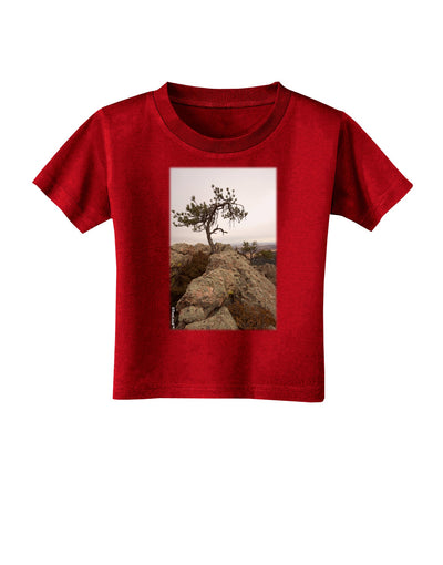 Stone Tree Colorado Toddler T-Shirt Dark by TooLoud-Toddler T-Shirt-TooLoud-Red-2T-Davson Sales