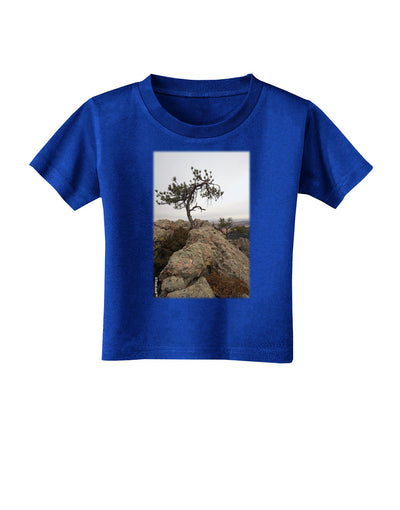 Stone Tree Colorado Toddler T-Shirt Dark by TooLoud-Toddler T-Shirt-TooLoud-Royal-Blue-2T-Davson Sales