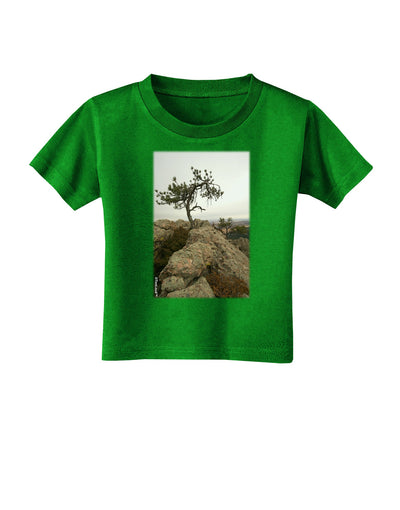 Stone Tree Colorado Toddler T-Shirt Dark by TooLoud-Toddler T-Shirt-TooLoud-Clover-Green-2T-Davson Sales