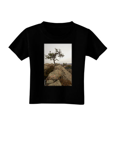 Stone Tree Colorado Toddler T-Shirt Dark by TooLoud-Toddler T-Shirt-TooLoud-Black-2T-Davson Sales