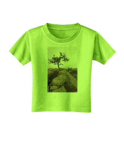 Stone Tree Colorado Toddler T-Shirt by TooLoud-Toddler T-Shirt-TooLoud-Lime-Green-2T-Davson Sales