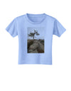 Stone Tree Colorado Toddler T-Shirt by TooLoud-Toddler T-Shirt-TooLoud-Aquatic-Blue-2T-Davson Sales