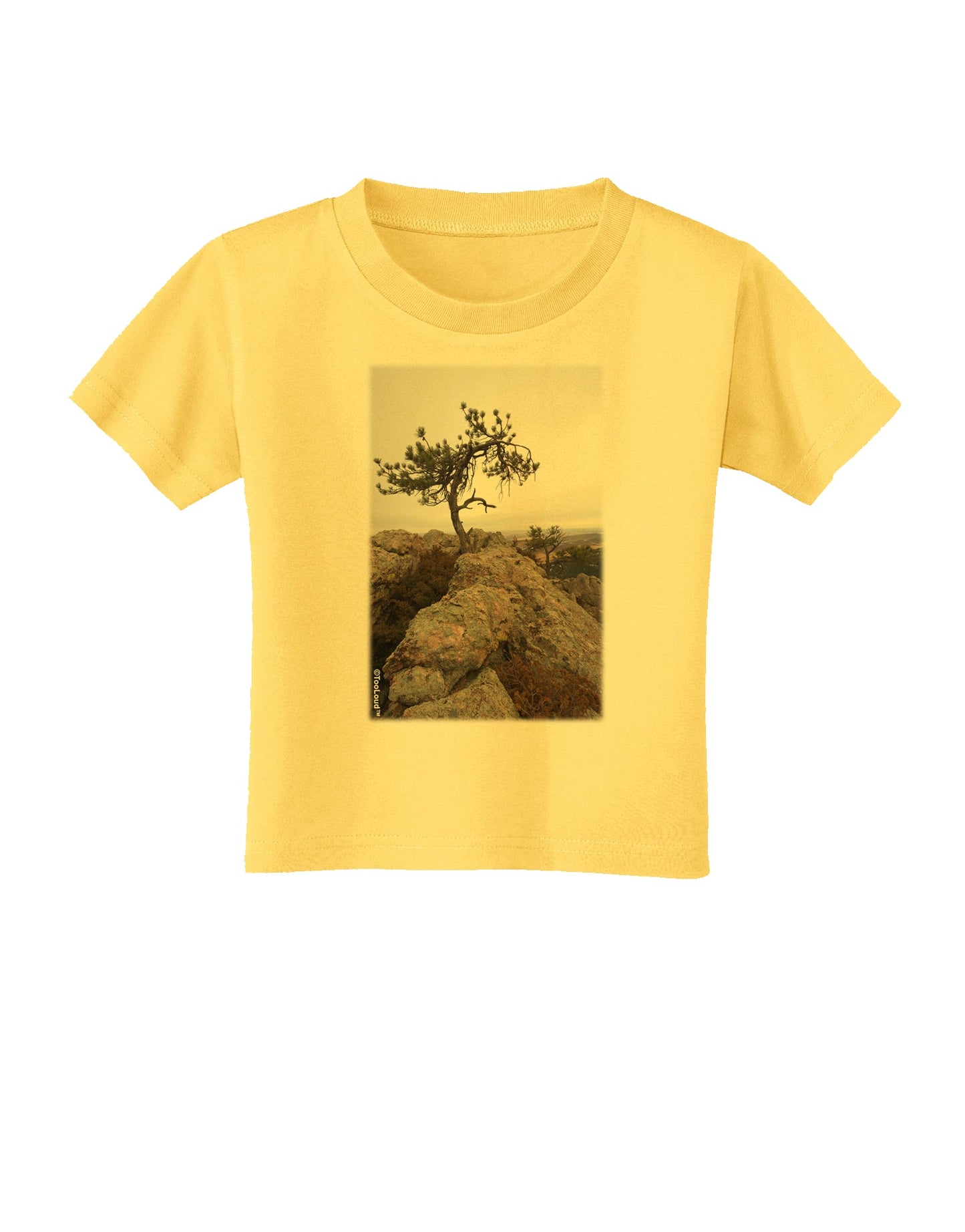 Stone Tree Colorado Toddler T-Shirt by TooLoud-Toddler T-Shirt-TooLoud-Yellow-2T-Davson Sales