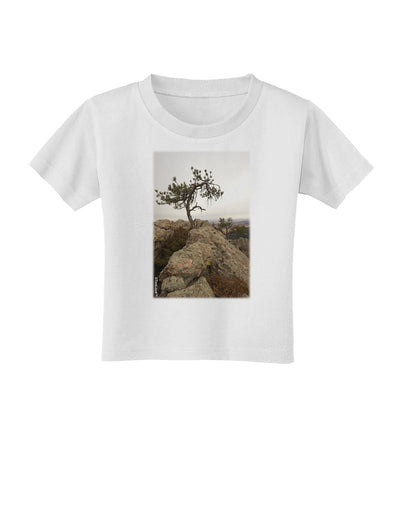 Stone Tree Colorado Toddler T-Shirt by TooLoud-Toddler T-Shirt-TooLoud-White-2T-Davson Sales