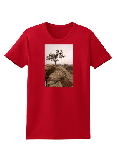 Stone Tree Colorado Womens Dark T-Shirt by TooLoud-Womens T-Shirt-TooLoud-Red-X-Small-Davson Sales