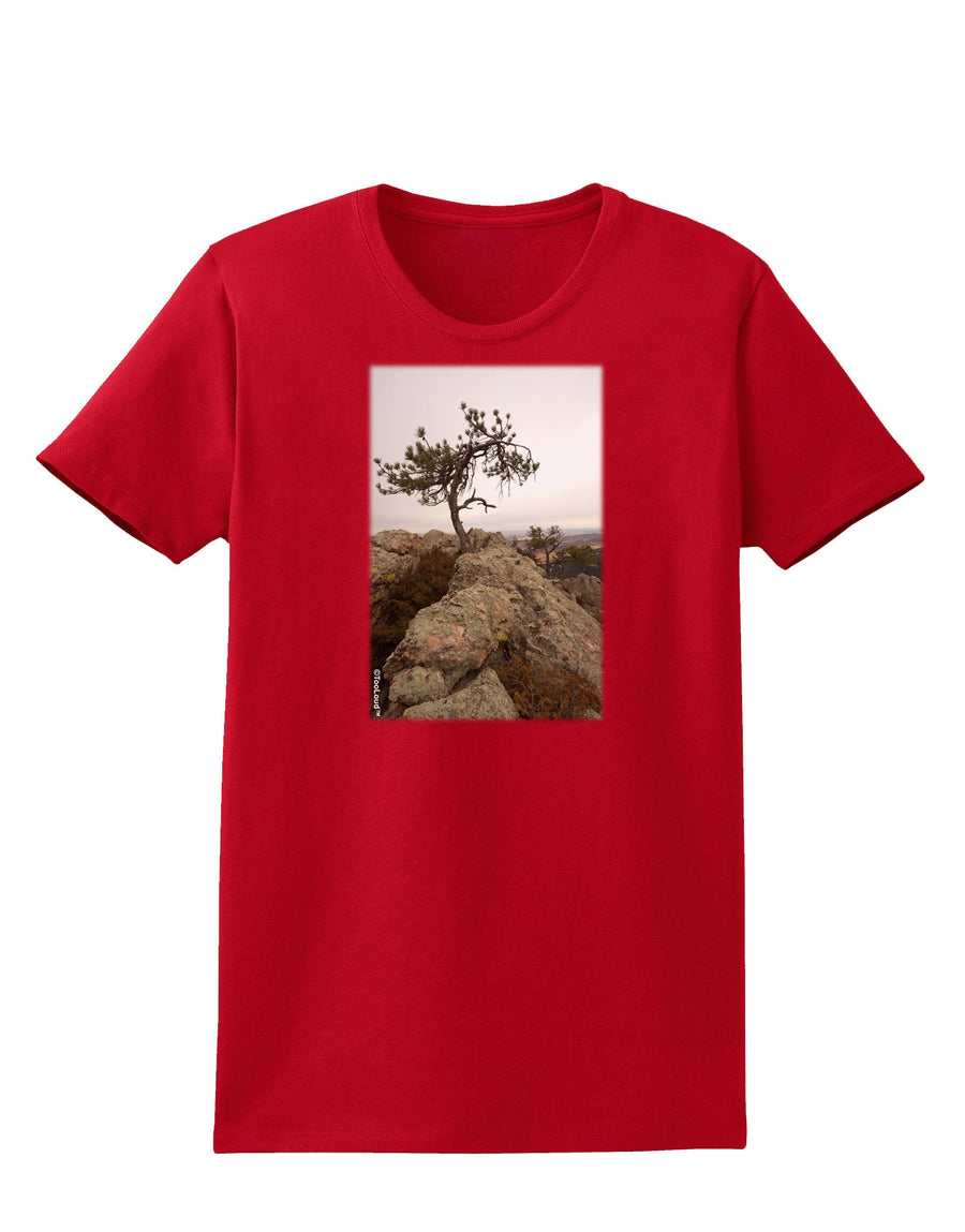 Stone Tree Colorado Womens Dark T-Shirt by TooLoud-Womens T-Shirt-TooLoud-Black-X-Small-Davson Sales