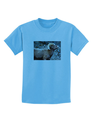 TooLoud Wide Eyed Big Horn Childrens T-Shirt-Childrens T-Shirt-TooLoud-Aquatic-Blue-X-Small-Davson Sales