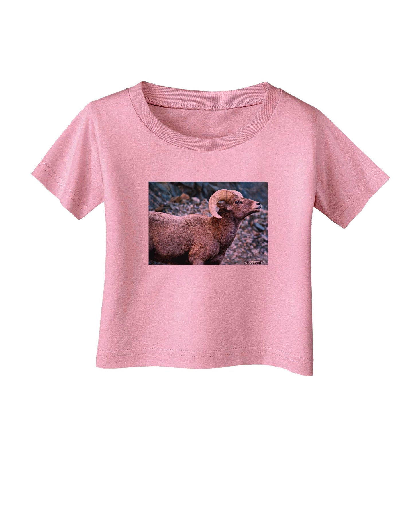 TooLoud Wide Eyed Big Horn Infant T-Shirt-Infant T-Shirt-TooLoud-Candy-Pink-06-Months-Davson Sales