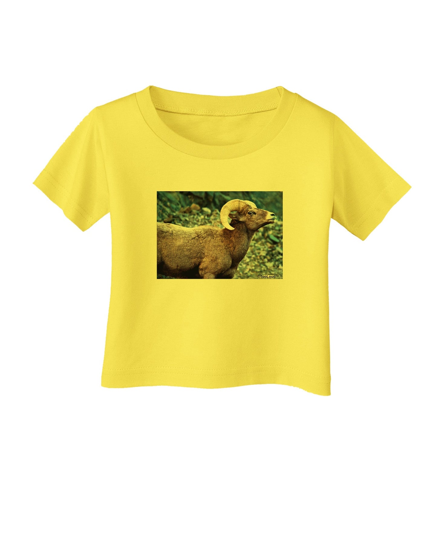 TooLoud Wide Eyed Big Horn Infant T-Shirt-Infant T-Shirt-TooLoud-Yellow-06-Months-Davson Sales