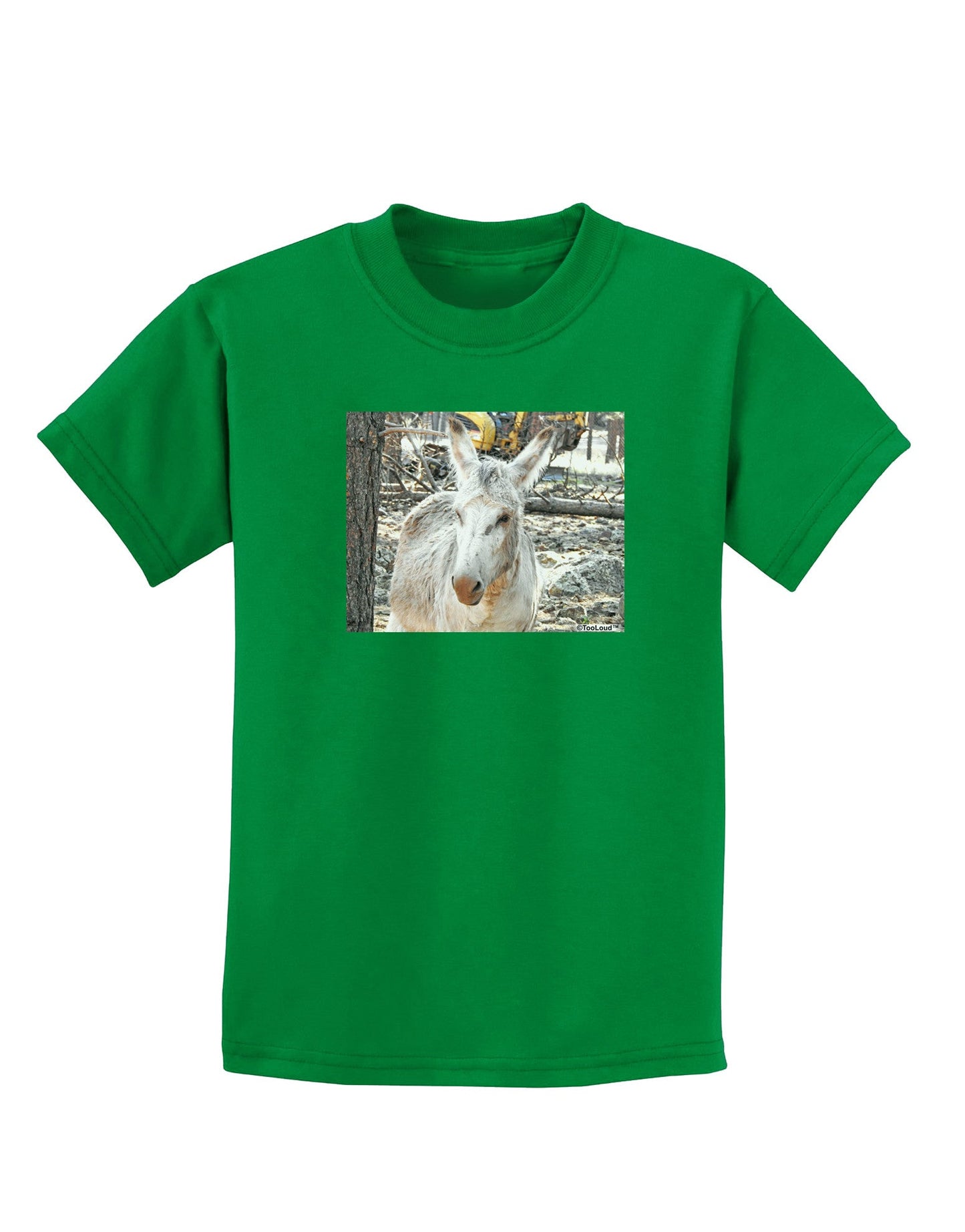 Troubled Burro Childrens Dark T-Shirt-Childrens T-Shirt-TooLoud-Kelly-Green-X-Small-Davson Sales