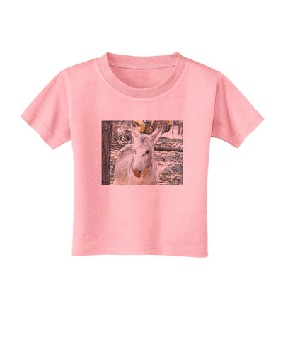 Troubled Burro Toddler T-Shirt-Toddler T-Shirt-TooLoud-Candy-Pink-2T-Davson Sales