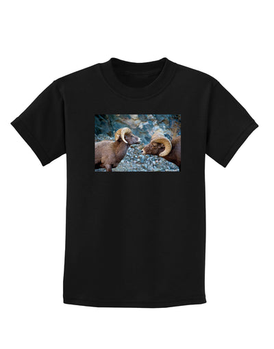 Two Bighorn Rams Childrens Dark T-Shirt-Childrens T-Shirt-TooLoud-Black-X-Small-Davson Sales