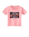 Two Bighorn Rams Toddler T-Shirt-Toddler T-Shirt-TooLoud-Candy-Pink-2T-Davson Sales