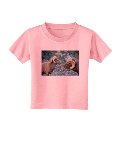 Two Bighorn Rams Toddler T-Shirt-Toddler T-Shirt-TooLoud-Candy-Pink-2T-Davson Sales