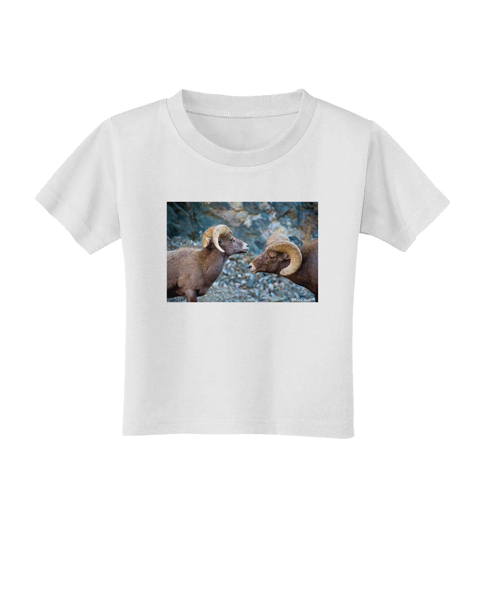 Two Bighorn Rams Toddler T-Shirt-Toddler T-Shirt-TooLoud-White-2T-Davson Sales