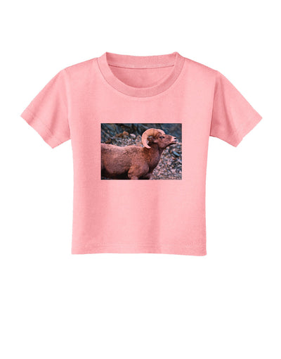Wide Eyed Big Horn Toddler T-Shirt-Toddler T-Shirt-TooLoud-Candy-Pink-2T-Davson Sales