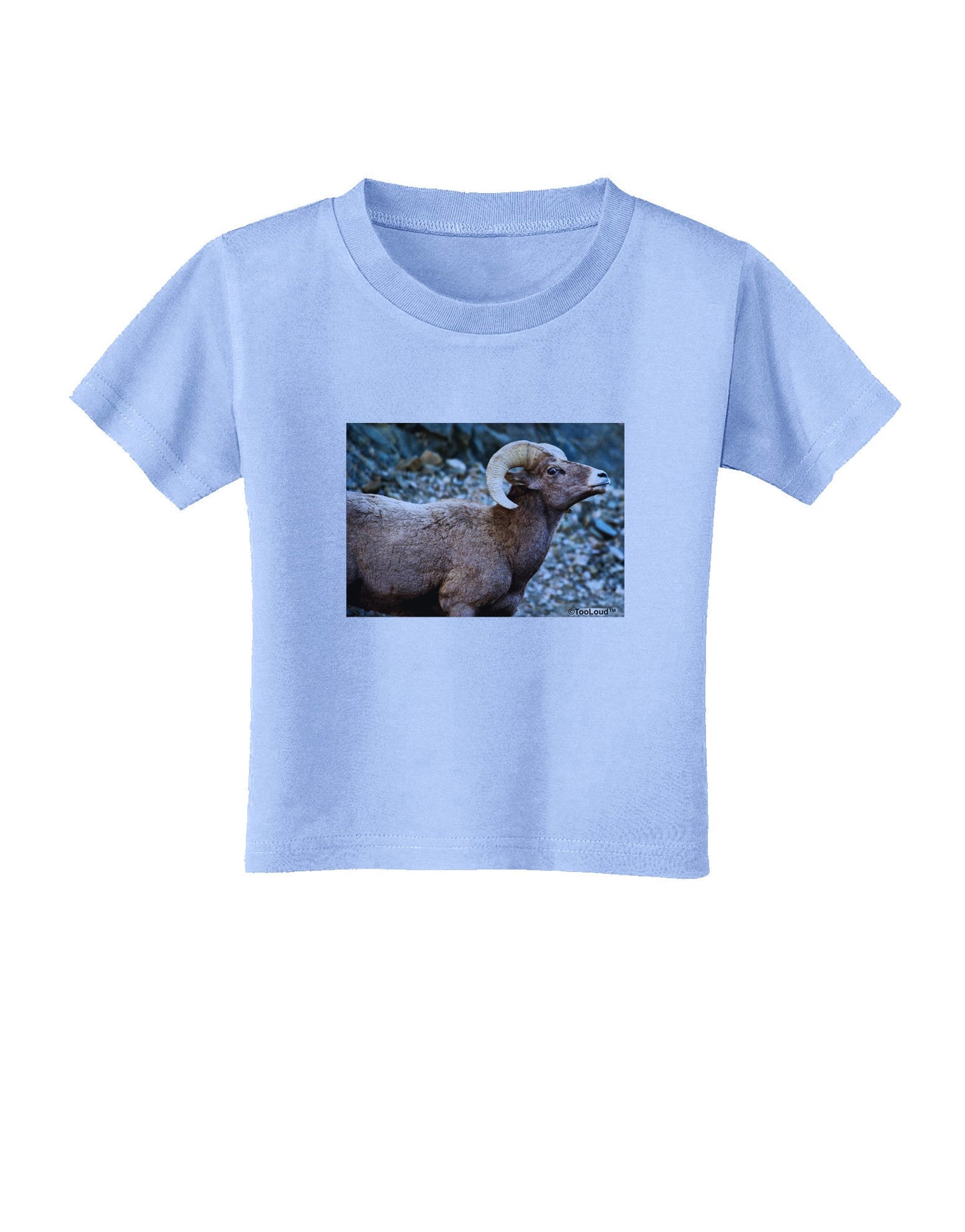Wide Eyed Big Horn Toddler T-Shirt-Toddler T-Shirt-TooLoud-Aquatic-Blue-2T-Davson Sales