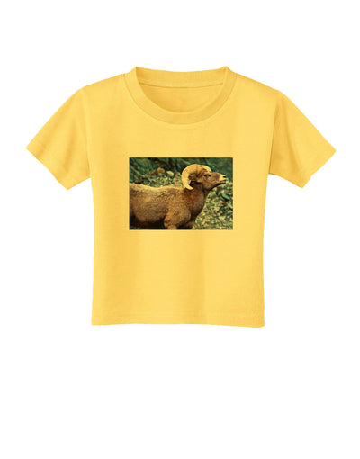 Wide Eyed Big Horn Toddler T-Shirt-Toddler T-Shirt-TooLoud-Yellow-2T-Davson Sales