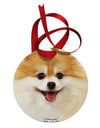 Adorable Pomeranian 1 Circular Metal Ornament All Over Print-Ornament-TooLoud-White-Davson Sales