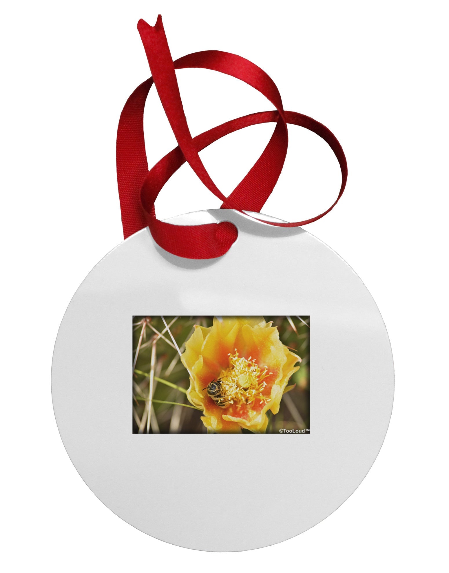 Bee Cactus Circular Metal Ornament-Ornament-TooLoud-White-Davson Sales
