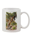 Bristlecone Pines 11 oz Coffee Mug - Expertly Crafted Drinkware-11 OZ Coffee Mug-TooLoud-White-Davson Sales