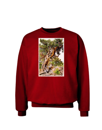 Bristlecone Pines Adult Dark Sweatshirt-Sweatshirts-TooLoud-Deep-Red-Small-Davson Sales