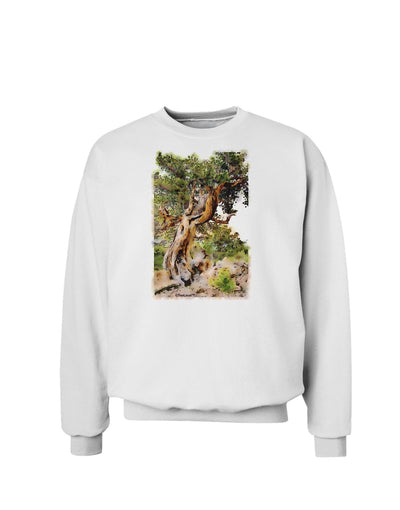 Bristlecone Pines Sweatshirt-Sweatshirts-TooLoud-White-Small-Davson Sales