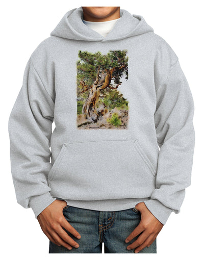 Bristlecone Pines Youth Hoodie Pullover Sweatshirt-Youth Hoodie-TooLoud-Ash-XS-Davson Sales