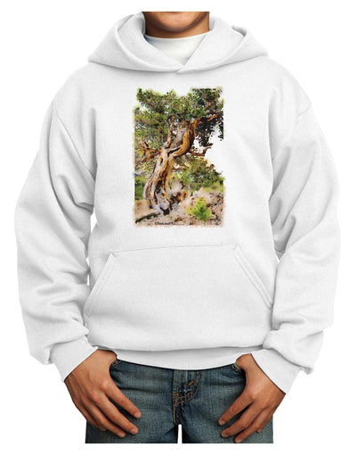 Bristlecone Pines Youth Hoodie Pullover Sweatshirt-Youth Hoodie-TooLoud-White-XS-Davson Sales