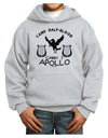 Cabin 7 Apollo Camp Half Blood Youth Hoodie Pullover Sweatshirt-Youth Hoodie-TooLoud-Ash-XS-Davson Sales
