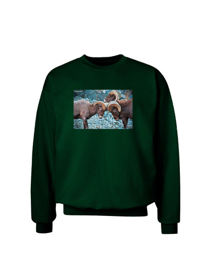 CO Bighorn Head Butt Adult Dark Sweatshirt-Sweatshirts-TooLoud-Deep-Forest-Green-Small-Davson Sales