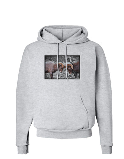 CO Bighorn Head Butt Desaturated Hoodie Sweatshirt-Hoodie-TooLoud-AshGray-Small-Davson Sales