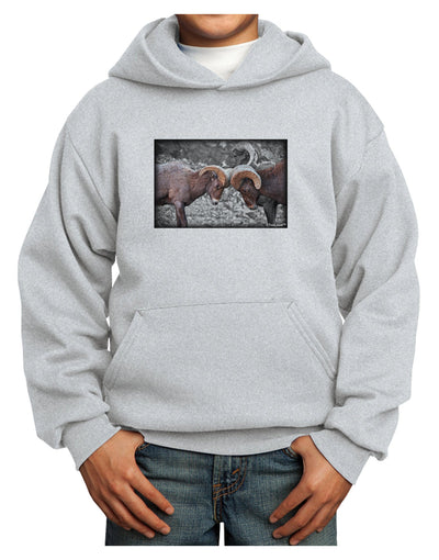 CO Bighorn Head Butt Desaturated Youth Hoodie Pullover Sweatshirt-Youth Hoodie-TooLoud-Ash-XS-Davson Sales