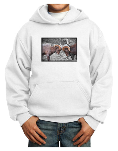 CO Bighorn Head Butt Desaturated Youth Hoodie Pullover Sweatshirt-Youth Hoodie-TooLoud-White-XS-Davson Sales