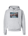 CO Bighorn Head Butt Hoodie Sweatshirt-Hoodie-TooLoud-AshGray-Small-Davson Sales