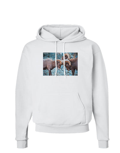 CO Bighorn Head Butt Hoodie Sweatshirt-Hoodie-TooLoud-White-Small-Davson Sales