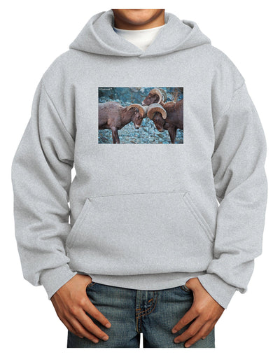 CO Bighorn Head Butt Youth Hoodie Pullover Sweatshirt-Youth Hoodie-TooLoud-Ash-XS-Davson Sales